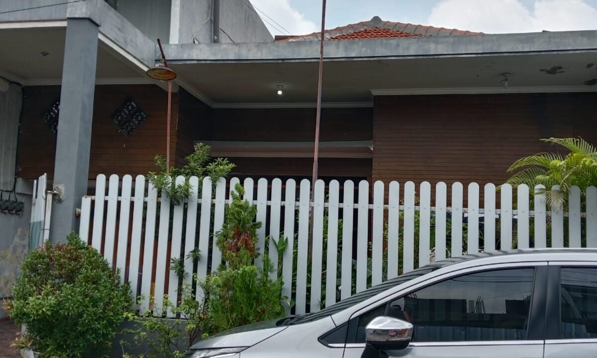 WhatsApp Image 2025-11-19 at 10.01.47